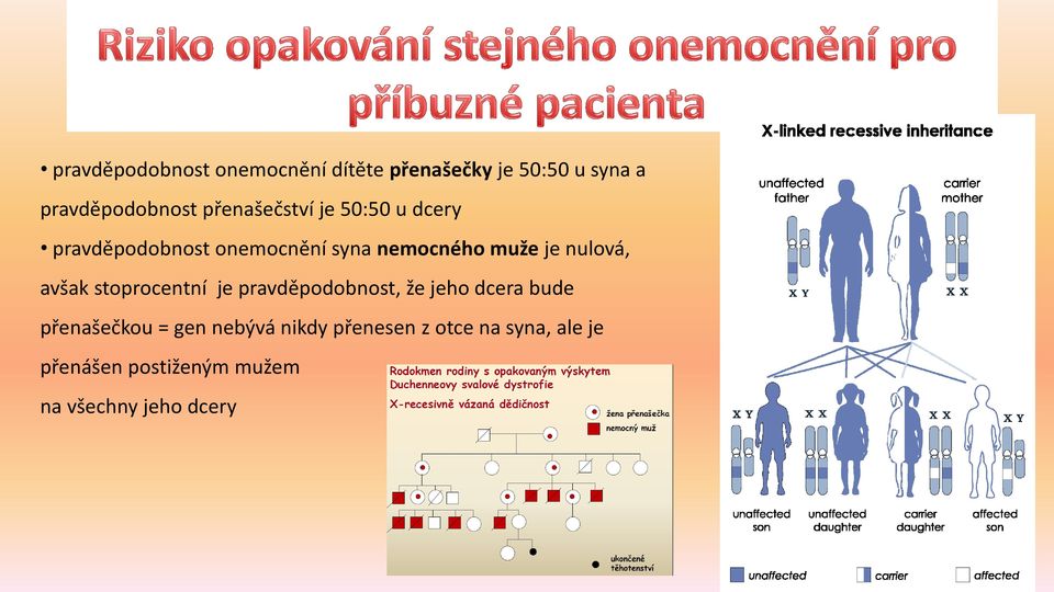 nulová, avšak stoprocentní je pravděpodobnost, že jeho dcera bude přenašečkou = gen