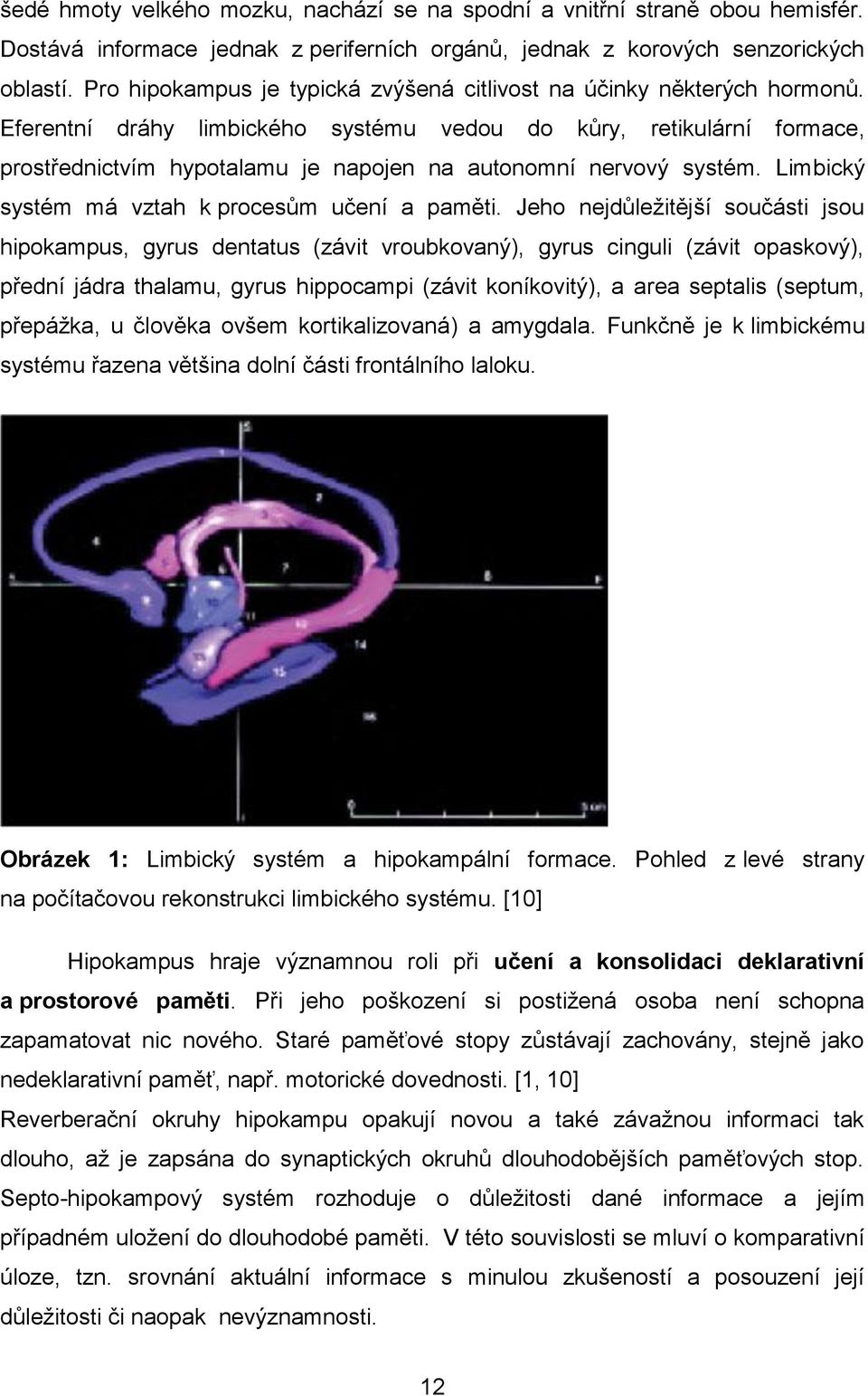 Eferentní dráhy limbického systému vedou do kůry, retikulární formace, prostřednictvím hypotalamu je napojen na autonomní nervový systém. Limbický systém má vztah k procesům učení a paměti.