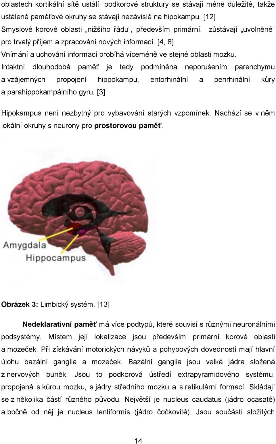 [4, 8] Vnímání a uchování informací probíhá víceméně ve stejné oblasti mozku.