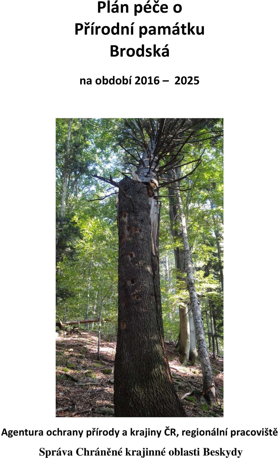 přírody a krajiny ČR, regionální