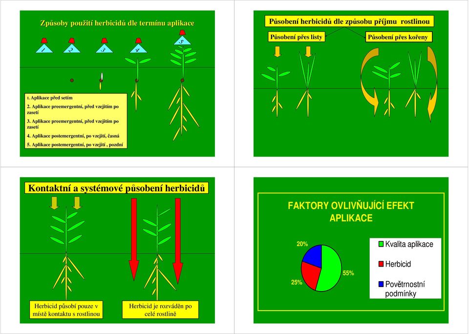 Aplikace postemergentní, po vzejití, časná 5.