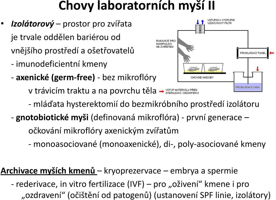 (definovaná mikroflóra) - první generace očkování mikroflóry axenickým zvířatům - monoasociované (monoaxenické), di-, poly-asociované kmeny Archivace myších