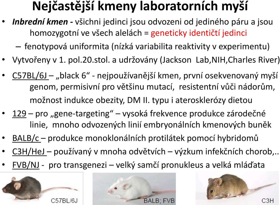 a udržovány (Jackson Lab,NIH,Charles River) C57BL/6J black 6 - nejpoužívanější kmen, první osekvenovaný myší genom, permisivní pro většinu mutací, resistentní vůči nádorům, možnost indukce obezity,