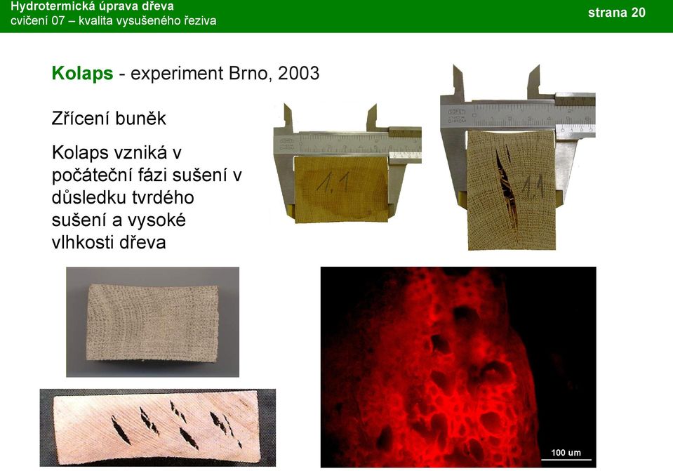 počáteční fázi sušení v důsledku
