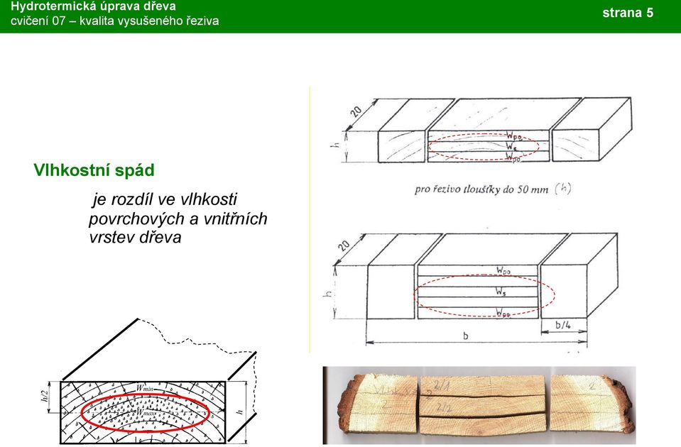povrchových a