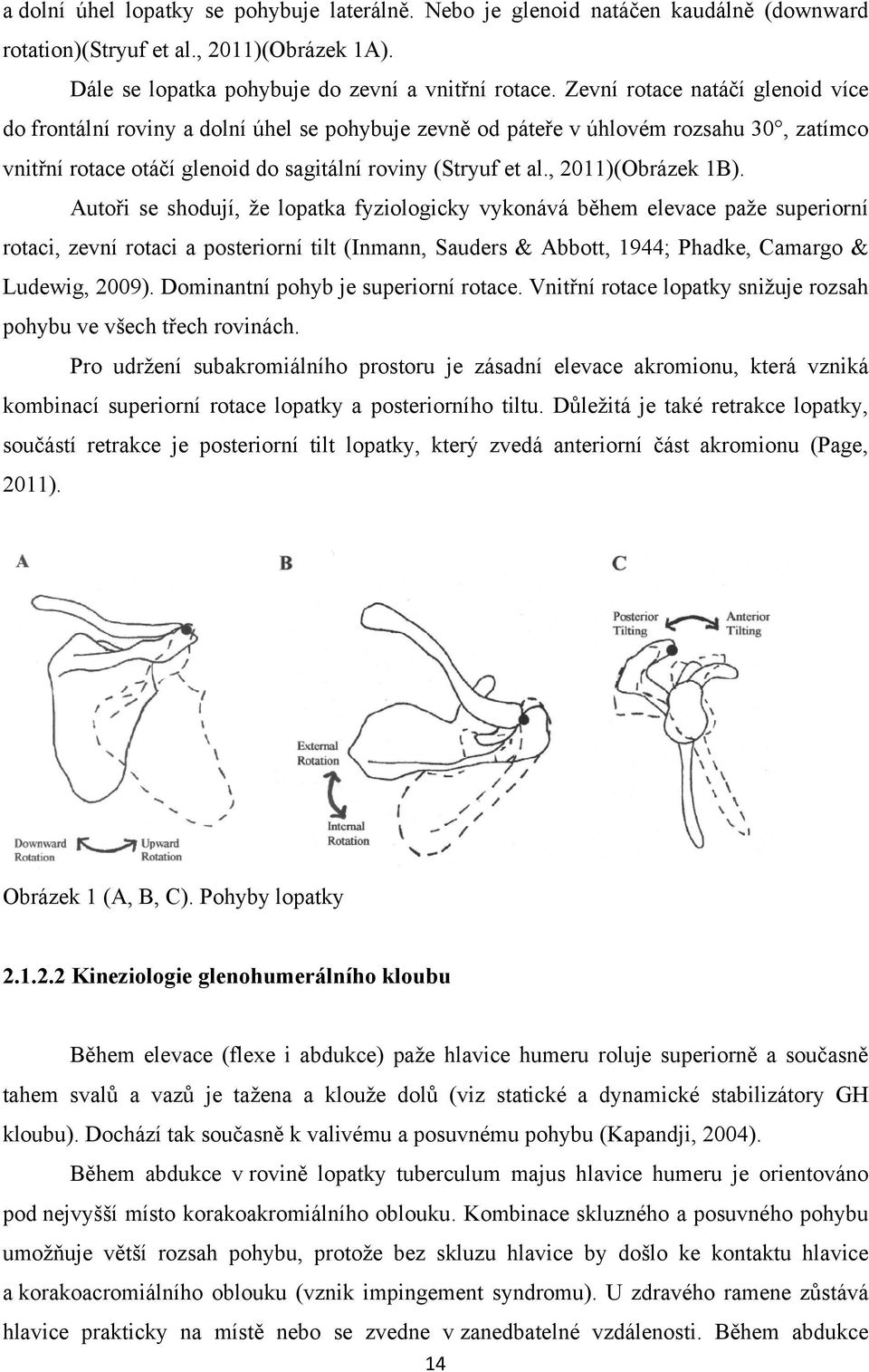 , 2011)(Obrázek 1B).
