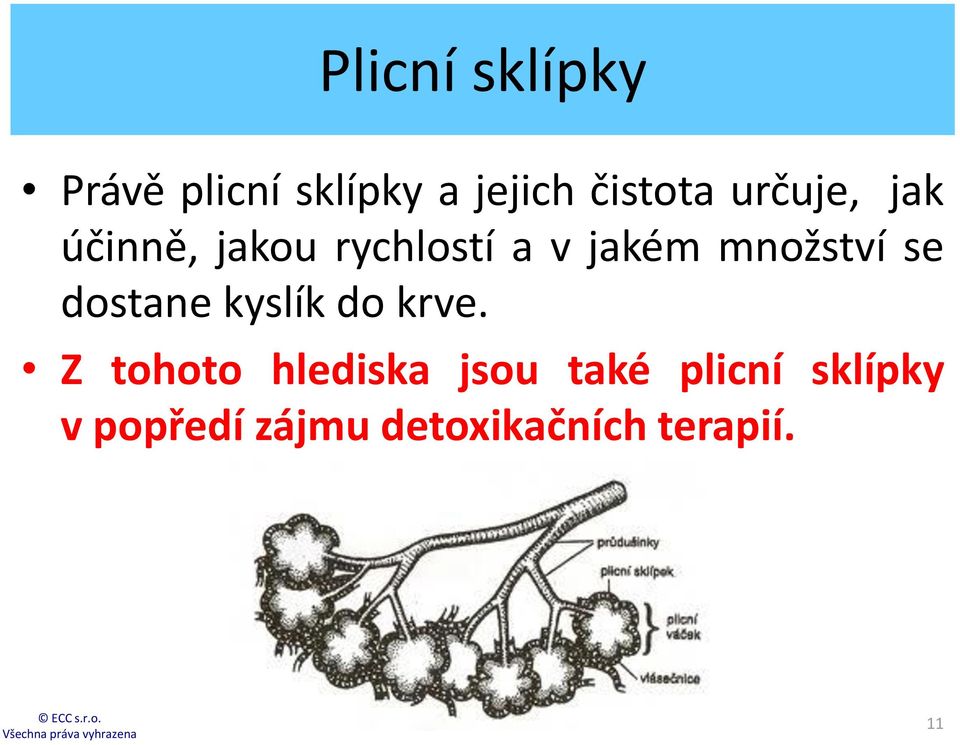 se dostane kyslík do krve.