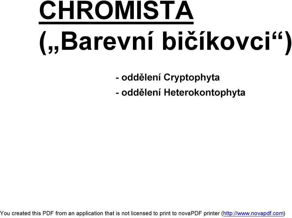 oddělení Cryptophyta
