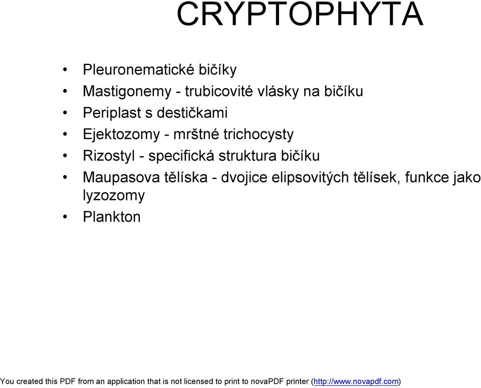 trichocysty Rizostyl - specifická struktura bičíku Maupasova