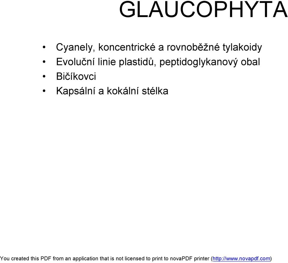 linie plastidů, peptidoglykanový