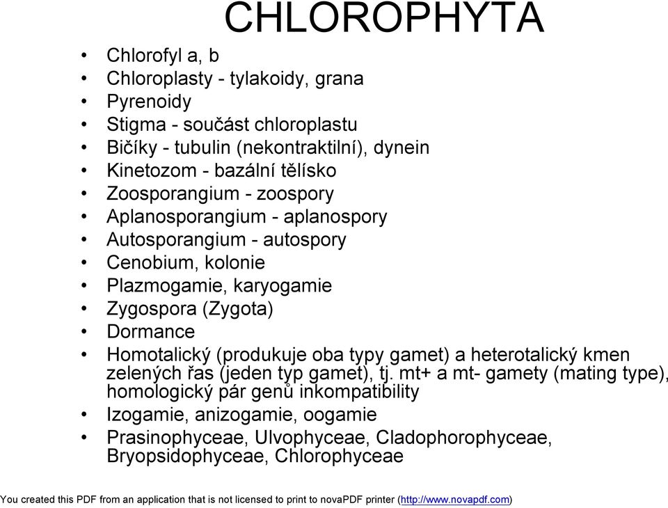 karyogamie Zygospora (Zygota) Dormance Homotalický (produkuje oba typy gamet) a heterotalický kmen zelených řas (jeden typ gamet), tj.