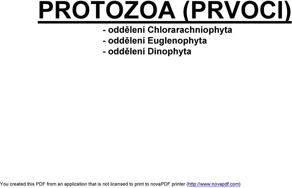 Chlorarachniophyta - 