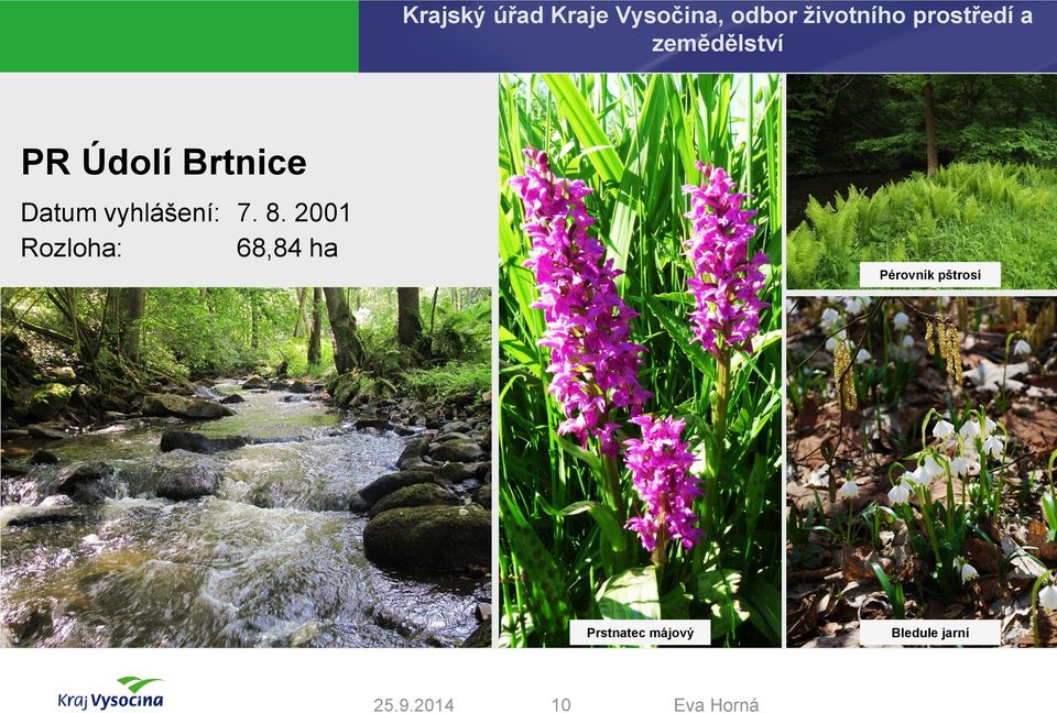 Datum vyhlášení: 7. 8.