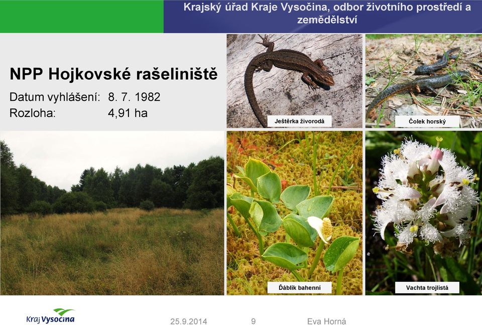 1982 Rozloha: 4,91 ha Ještěrka