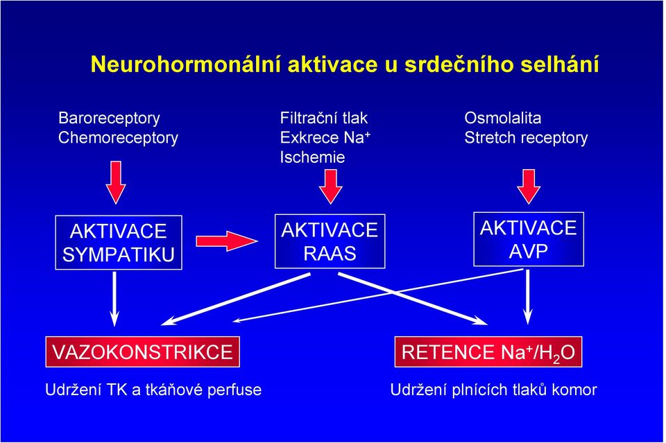 Stretch receptory AKTIVACE SYMPATIKU AKTIVACE RAAS AKTIVACE AVP