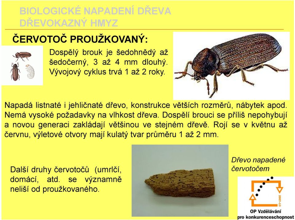 Dospělí brouci se příliš nepohybují a novou generaci zakládají většinou ve stejném dřevě.