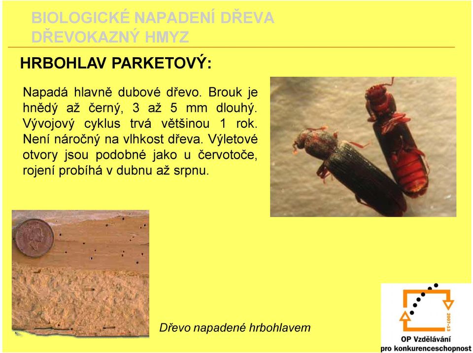 Vývojový cyklus trvá většinou 1 rok.
