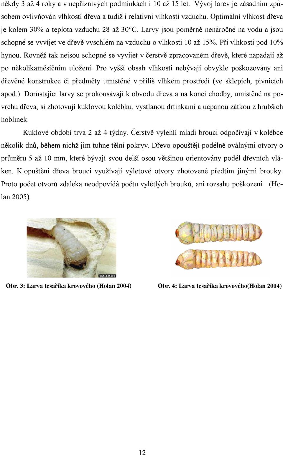 Při vlhkosti pod 10% hynou. Rovněž tak nejsou schopné se vyvíjet v čerstvě zpracovaném dřevě, které napadají až po několikaměsíčním uložení.