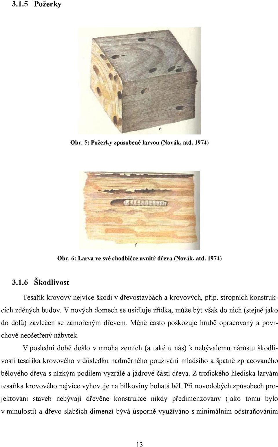 Méně často poškozuje hrubě opracovaný a povrchově neošetřený nábytek.