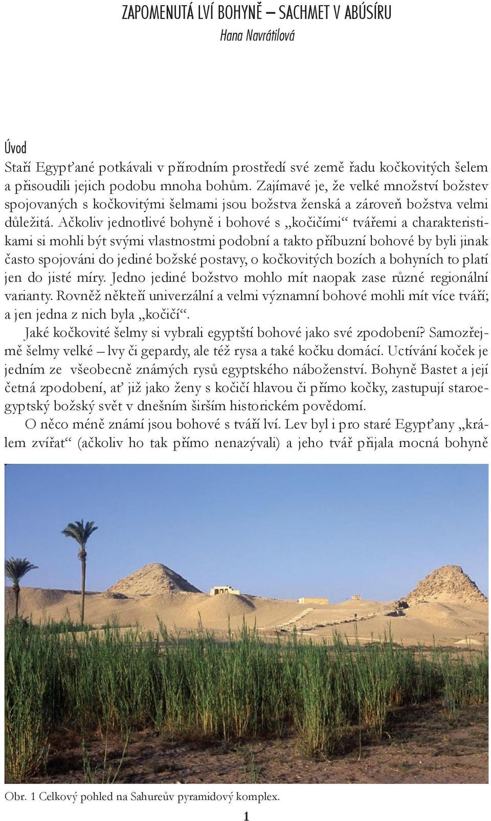 Ačkoliv jednotlivé bohyně i bohové s kočičími tvářemi a charakteristikami si mohli být svými vlastnostmi podobní a takto příbuzní bohové by byli jinak často spojováni do jediné božské postavy, o