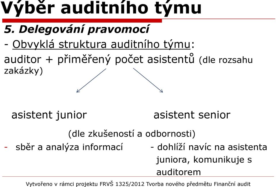 přiměřený počet asistentů (dle rozsahu zakázky) asistent junior