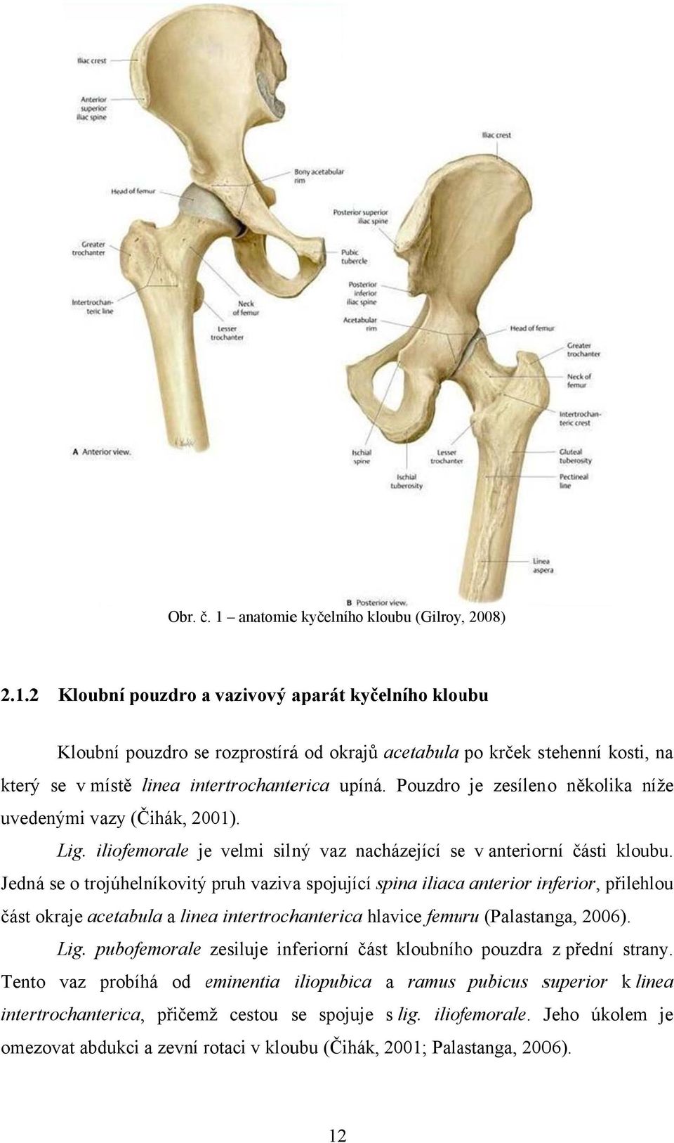 Jedná se o trojúhelníkovitý pruh vaziva spojující spina iliacaa anterior inferior, přilehlou část okraje acetabula a linea intertrochanterica hlavice femuru (Palastanga, 2006). Lig.