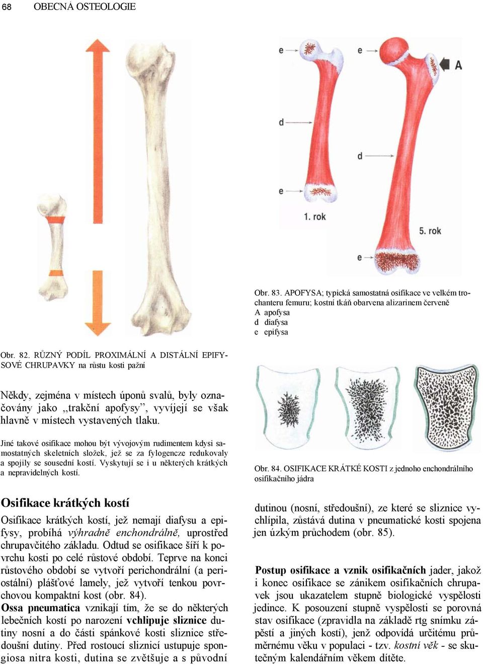 tlaku. Jiné takové osifikace mohou být vývojovým rudimentem kdysi samostatných skeletních složek, jež se za fylogencze redukovaly a spojily se sousední kostí.