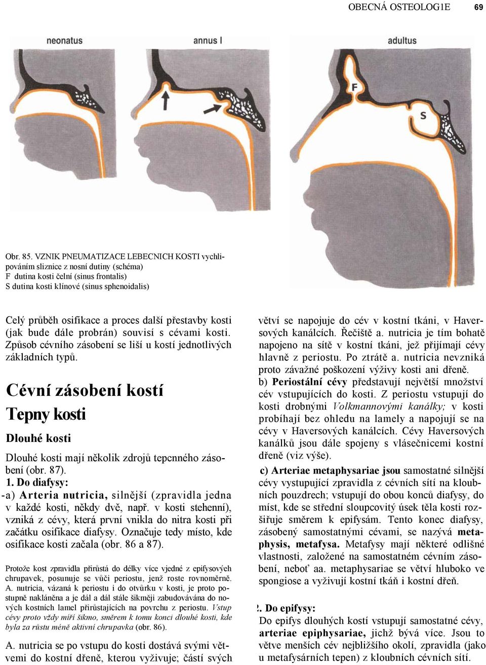další přestavby kosti (jak bude dále probrán) souvisí s cévami kosti. Způsob cévního zásobení se liší u kostí jednotlivých základních typů.