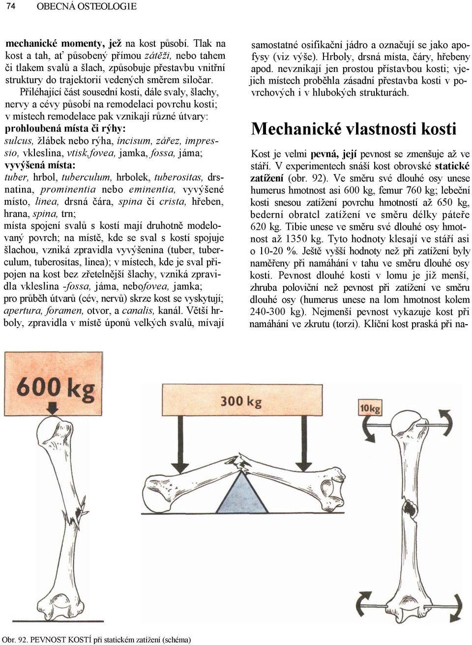 Přiléhající část sousední kosti, dále svaly, šlachy, nervy a cévy působí na remodelaci povrchu kosti; v místech remodelace pak vznikají různé útvary: prohloubená místa či rýhy: sulcus, žlábek nebo