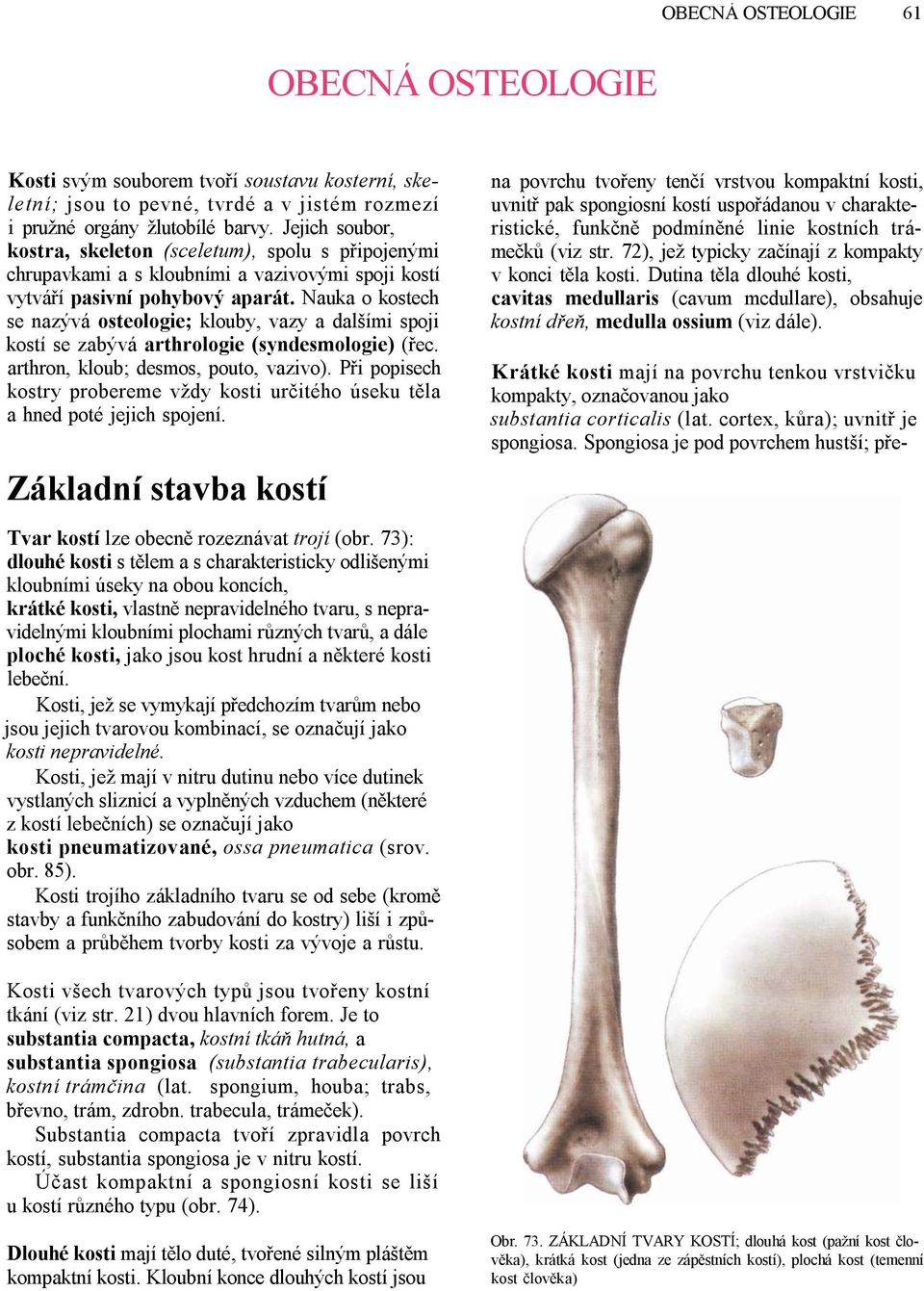 Nauka o kostech se nazývá osteologie; klouby, vazy a dalšími spoji kostí se zabývá arthrologie (syndesmologie) (řec. arthron, kloub; desmos, pouto, vazivo).