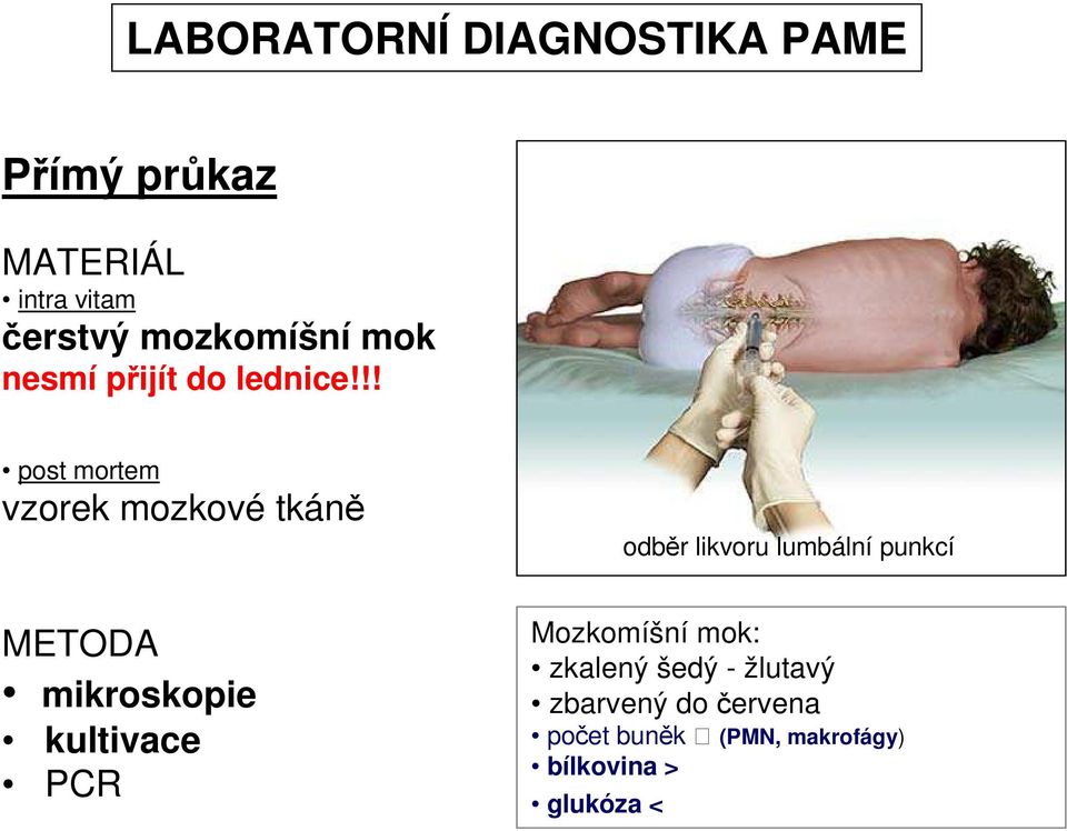 !! post mortem vzorek mozkové tkáně odběr likvoru lumbální punkcí METODA