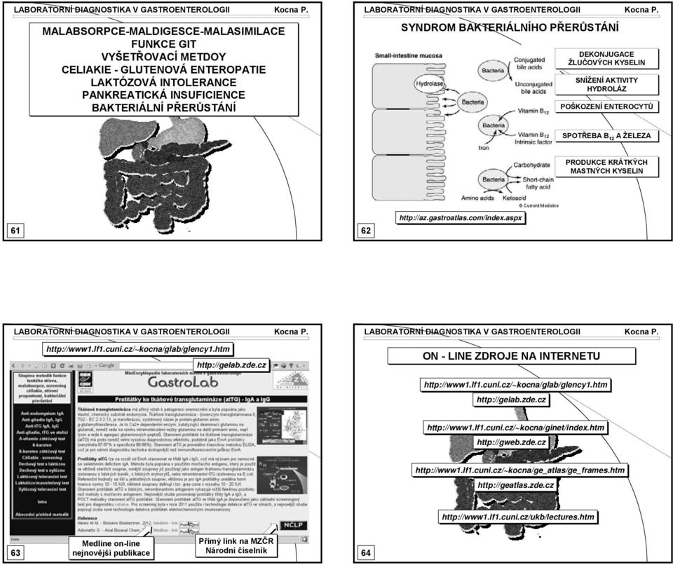 cz ON - LINE ZDROJE NA INTERNETU http://www1.lf1.cuni.cz/~kocna/glab/glency1.htm http://gelab.zde.cz http://www1.lf1.cuni.cz/~kocna/ginet/index.htm http://gweb.