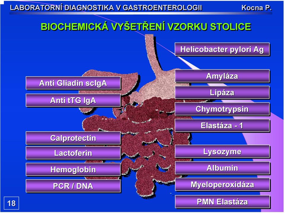 Lactoferin Hemoglobin PCR / DNA Amyláza Lipáza