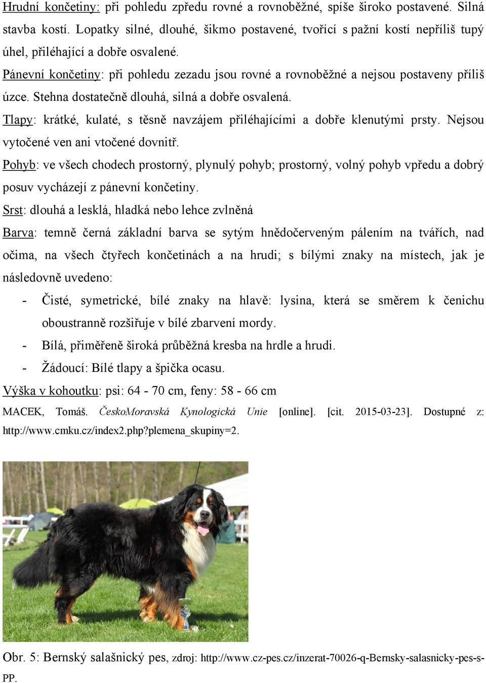 Pánevní končetiny: při pohledu zezadu jsou rovné a rovnoběţné a nejsou postaveny příliš úzce. Stehna dostatečně dlouhá, silná a dobře osvalená.