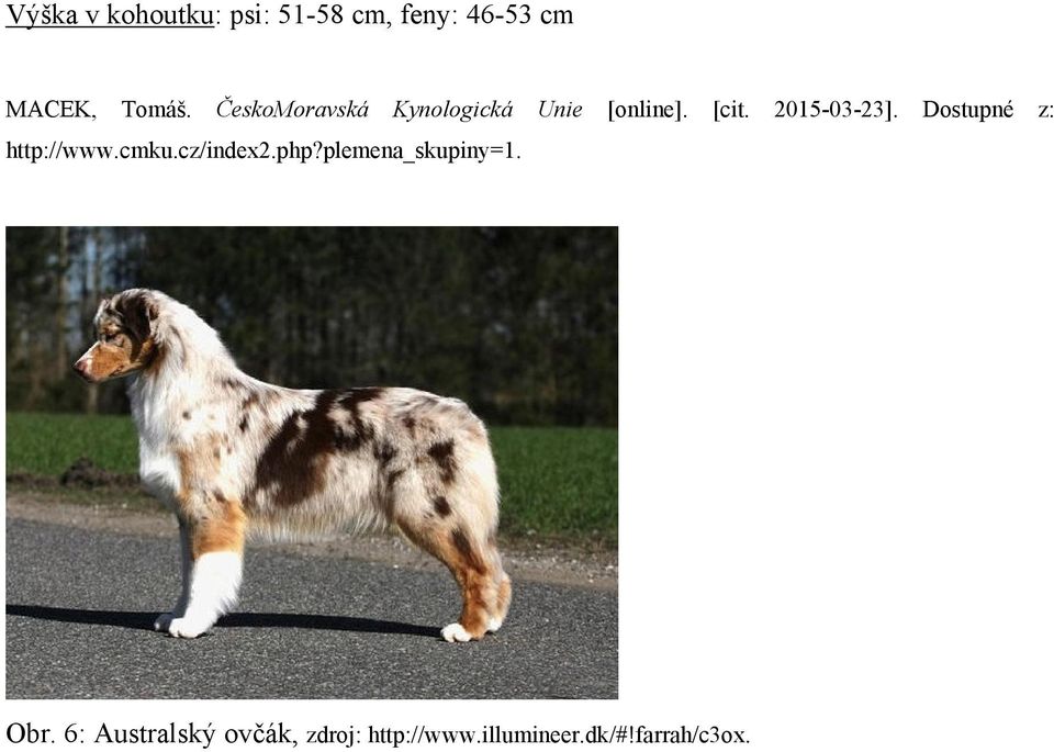 Dostupné z: http://www.cmku.cz/index2.php?plemena_skupiny=1.