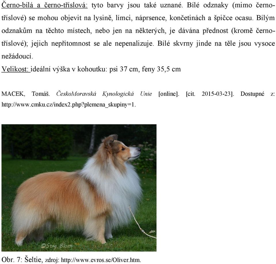Bílým odznakům na těchto místech, nebo jen na některých, je dávána přednost (kromě černotříslové); jejich nepřítomnost se ale nepenalizuje.
