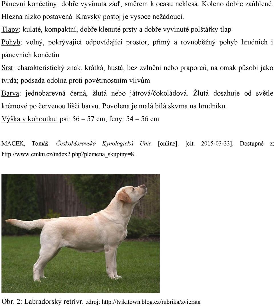 charakteristický znak, krátká, hustá, bez zvlnění nebo praporců, na omak působí jako tvrdá; podsada odolná proti povětrnostním vlivům Barva: jednobarevná černá, ţlutá nebo játrová/čokoládová.