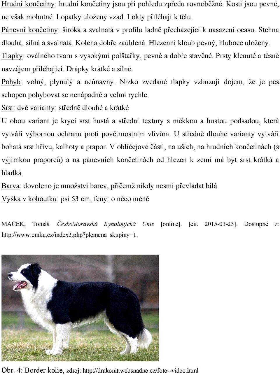 Tlapky: oválného tvaru s vysokými polštářky, pevné a dobře stavěné. Prsty klenuté a těsně navzájem přiléhající. Drápky krátké a silné. Pohyb: volný, plynulý a neúnavný.