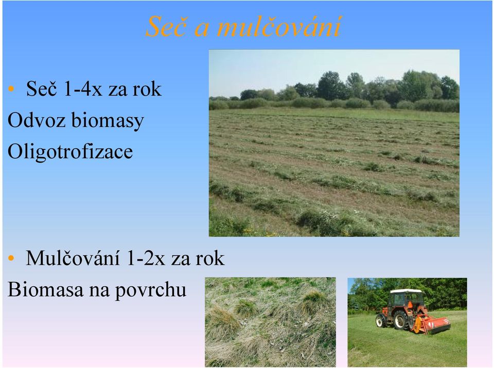 Oligotrofizace Mulčování