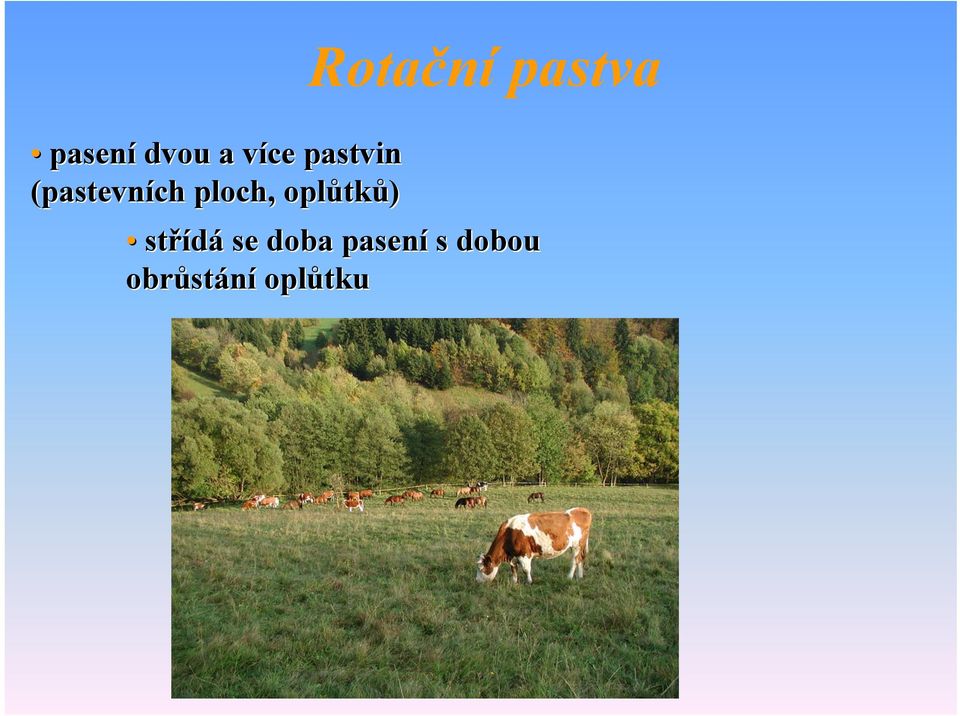 ploch, oplůtk tků) střídá se