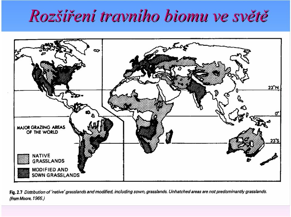 travního