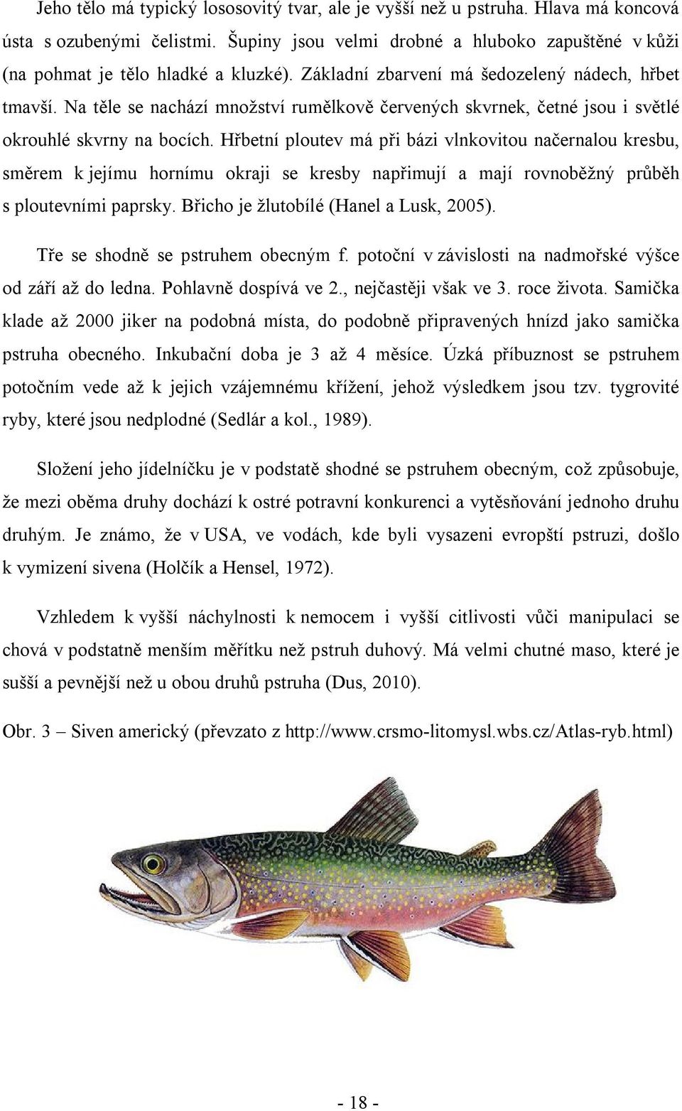 Hřbetní ploutev má při bázi vlnkovitou načernalou kresbu, směrem k jejímu hornímu okraji se kresby napřimují a mají rovnoběžný průběh s ploutevními paprsky. Břicho je žlutobílé (Hanel a Lusk, 2005).