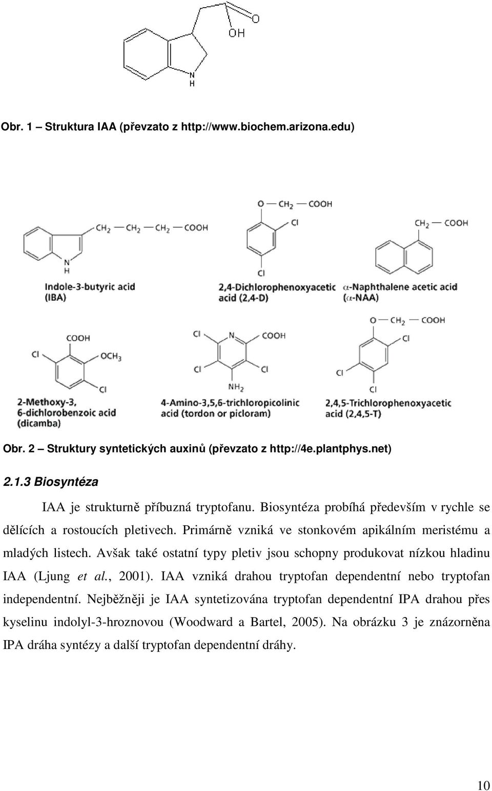 Avšak také ostatní typy pletiv jsou schopny produkovat nízkou hladinu IAA (Ljung et al., 2001). IAA vzniká drahou tryptofan dependentní nebo tryptofan independentní.