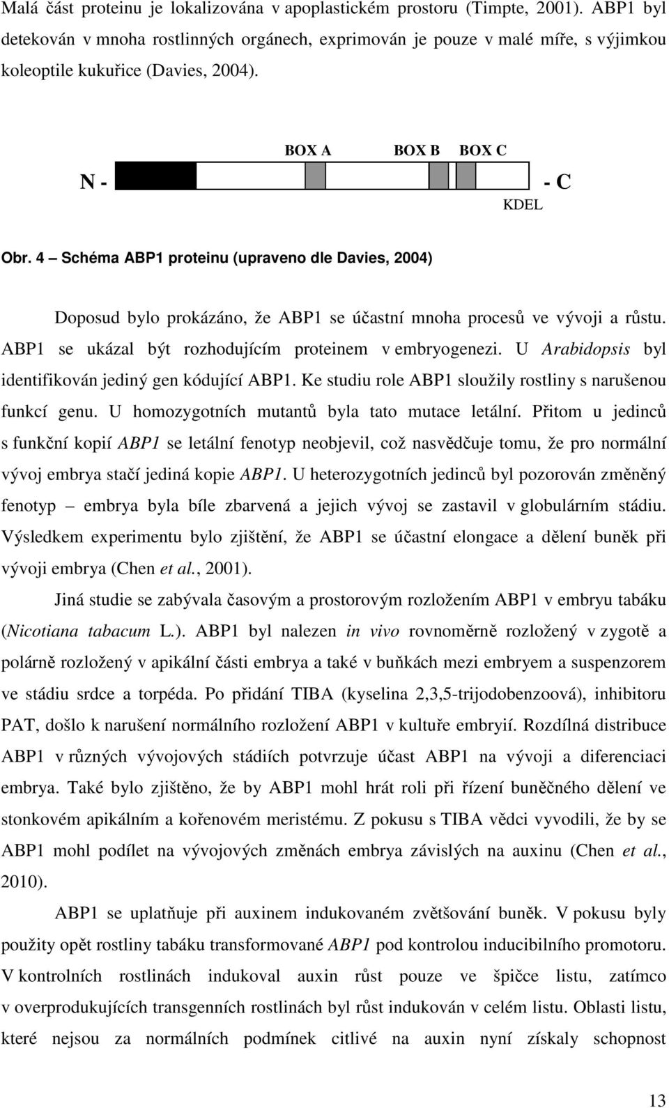 4 Schéma ABP1 proteinu (upraveno dle Davies, 2004) Doposud bylo prokázáno, že ABP1 se účastní mnoha procesů ve vývoji a růstu. ABP1 se ukázal být rozhodujícím proteinem v embryogenezi.