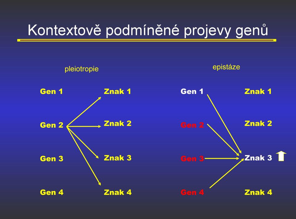 Znak 1 Gen 2 Znak 2 Gen 2 Znak 2 Gen 3