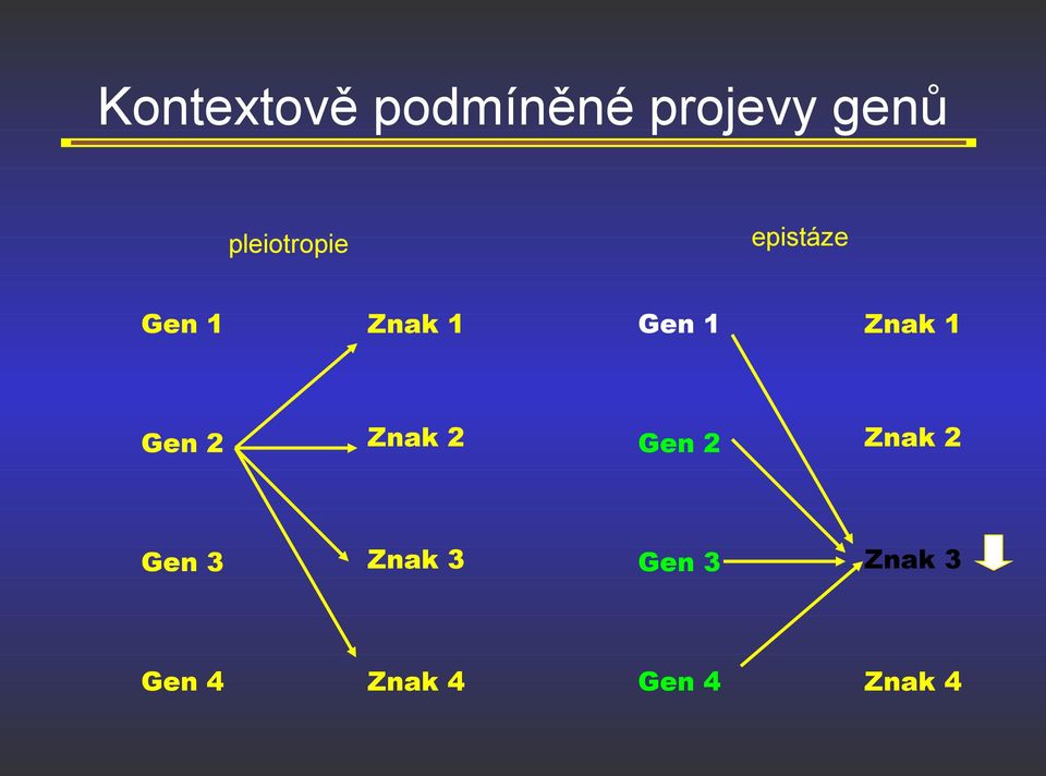 Znak 1 Gen 2 Znak 2 Gen 2 Znak 2 Gen 3