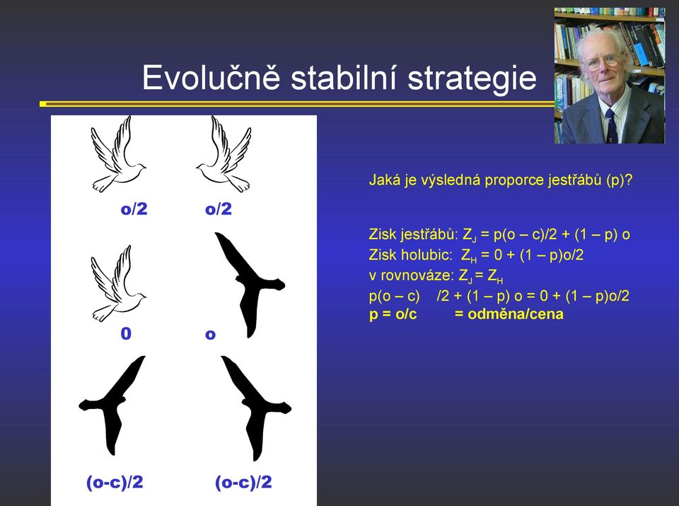 o/2 o/2 0 o Zisk jestřábů: Z J = p(o c)/2 + (1 p) o Zisk