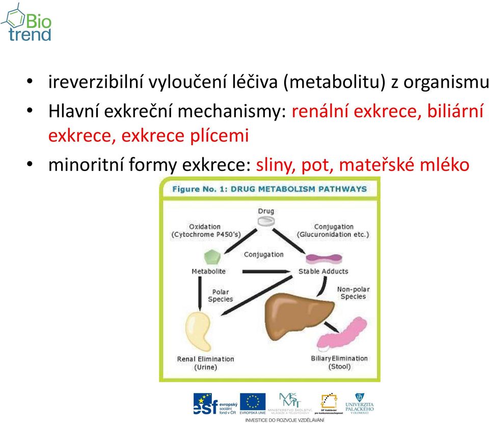 exkrece, biliární exkrece, exkrece plícemi
