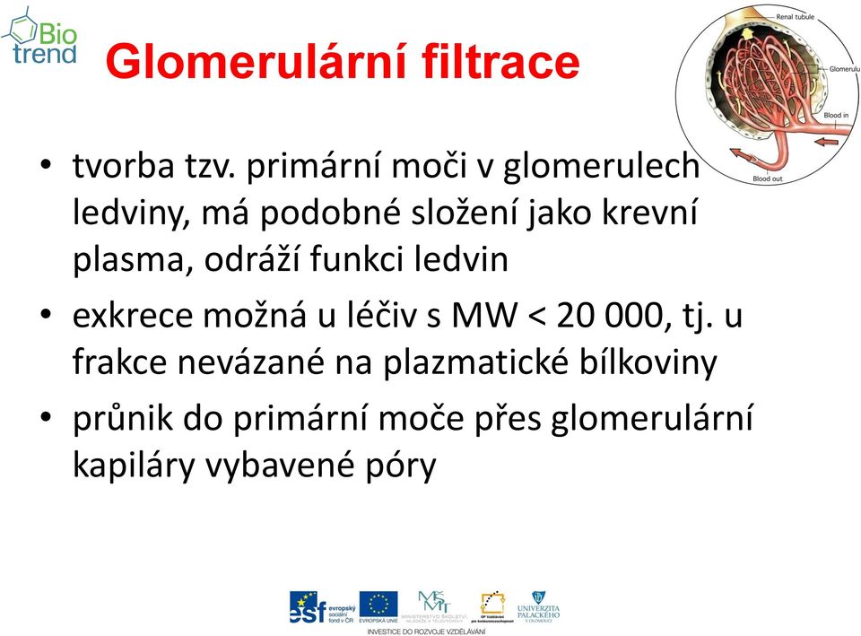 plasma, odráží funkci ledvin exkrece možná u léčiv s MW < 20 000, tj.