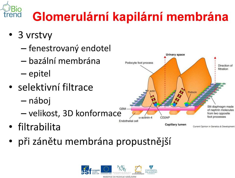 selektivní filtrace náboj velikost, 3D